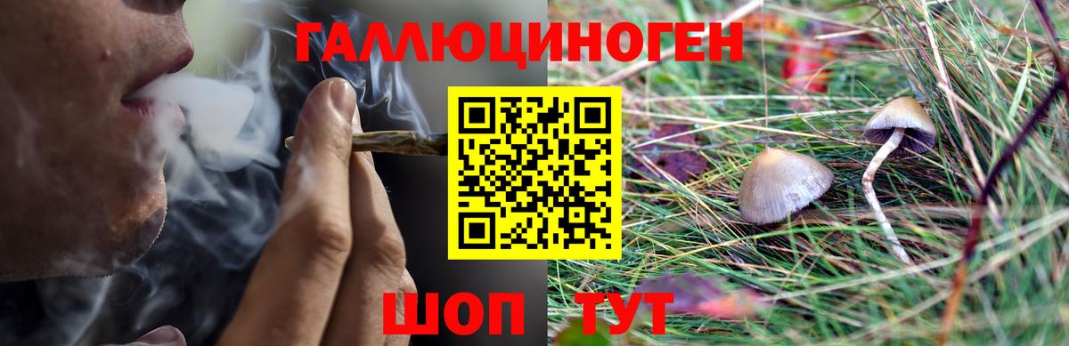 Галлюциногенные грибы GOLDEN TEACHER  Псилоцибиновые грибы GOLDEN TEACHER  Вход с VPN  Можайск 